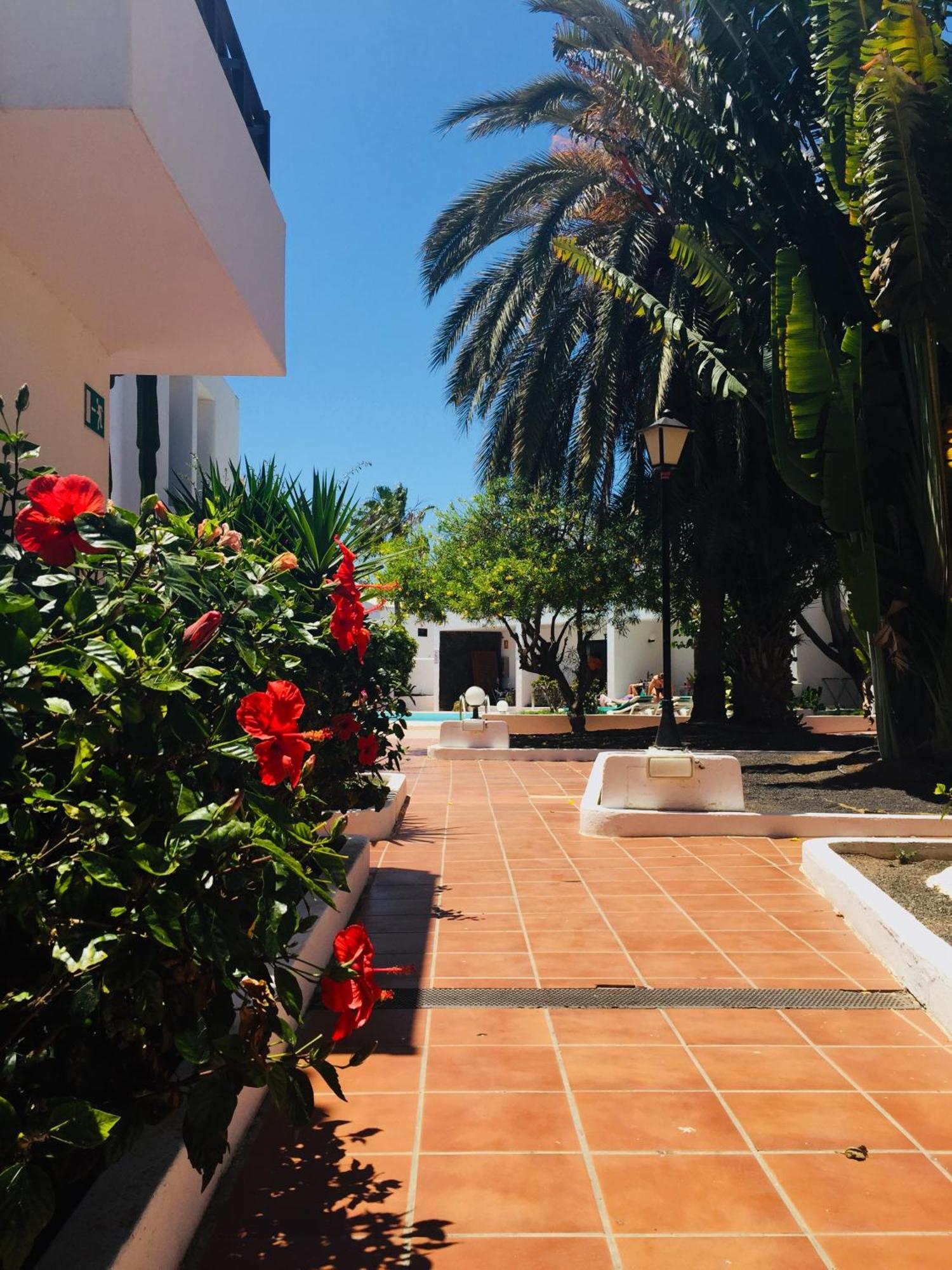 Apartamentos Maribel Puerto del Carmen  Exterior foto